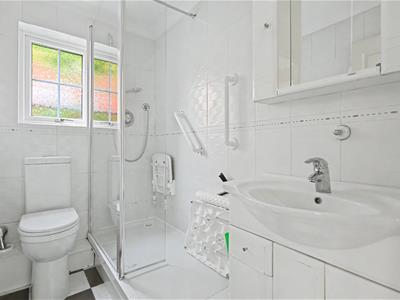 Picture 8